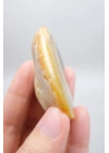 Sarı Dendritik Opal (Merlinit) Cilalanmış Dilim - Siyah Delik Dendritler | Sezgi, Gölge Çalışması ve İçgörü Taşı, 48g