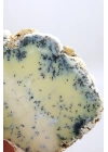 Sarı Dendritik Opal Tekli | Merlinite Örneği, Siyah Dendritler ile, 90gr