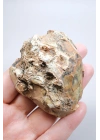 Sarı Merlinit Jeot – Hardal ve Zeytin Dendritik Opal ile Orta Kısmında Druzy Boşluk, 117g