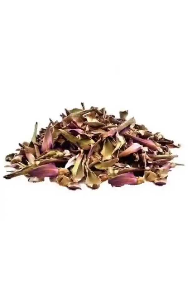 Enginar Çiçeği 50 gr (Cynara scolymus) gr, Derya Eren