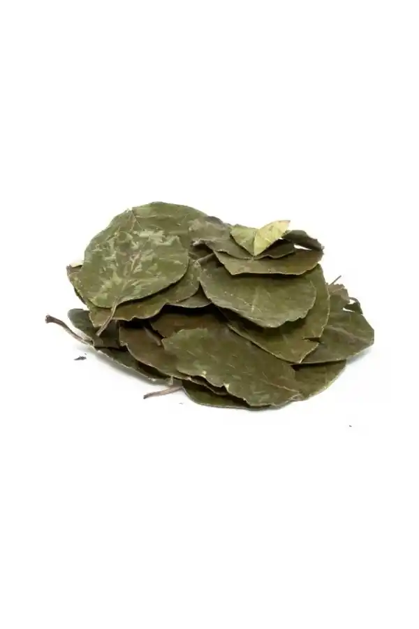 Avakado Yaprağı 25 gr, Derya Eren