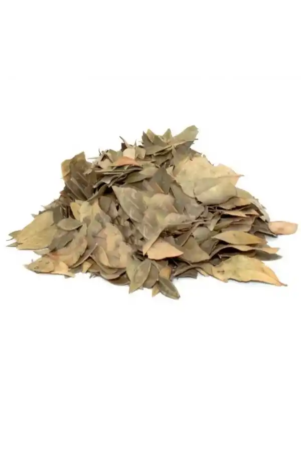 Mabet Ağacı Yaprağı 10 G, Lokman Aktar