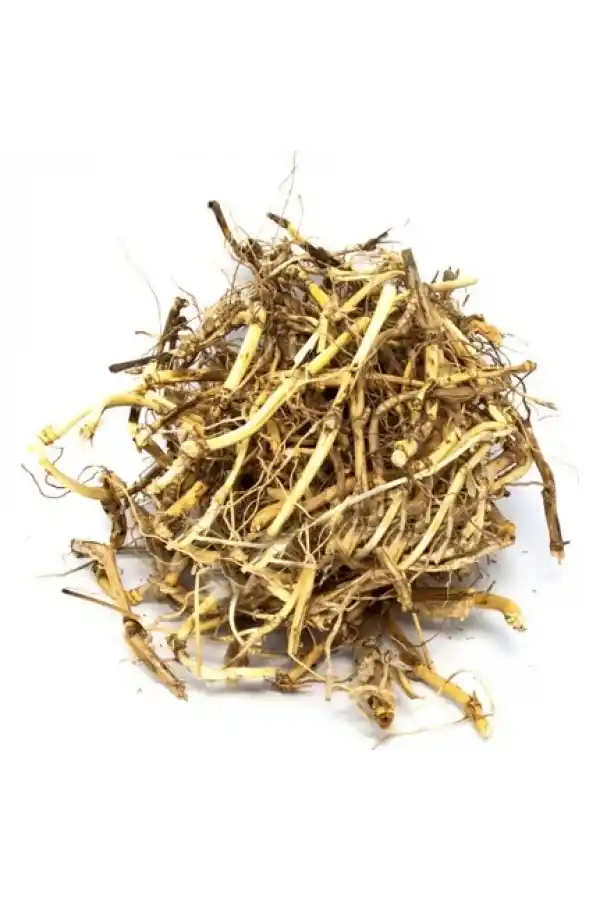 Ayrık Kökü Ayrık Otu 50 gr, Derya Eren