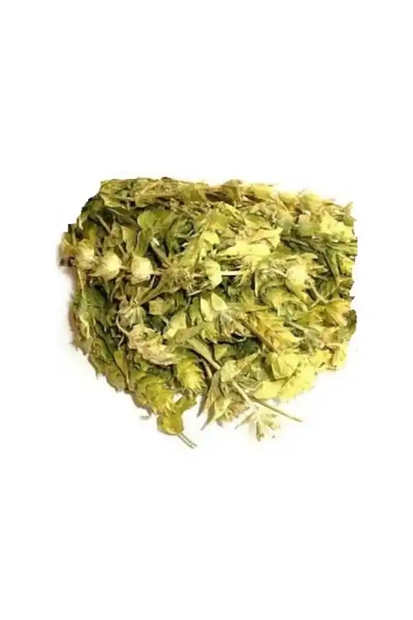 Yayla Çayı Anamur Adaçayı 50 gr, Derya Eren