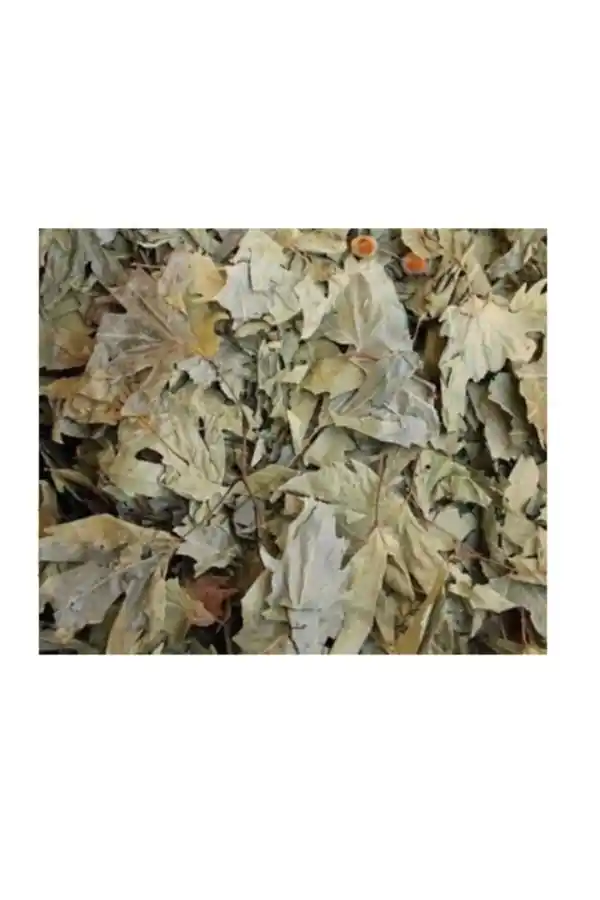 Çınar Yaprağı 50 gr, Lokman Aktar