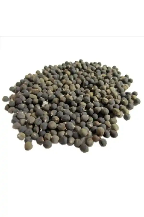 Bamya Tohumu 250 gr, Lokman Aktar