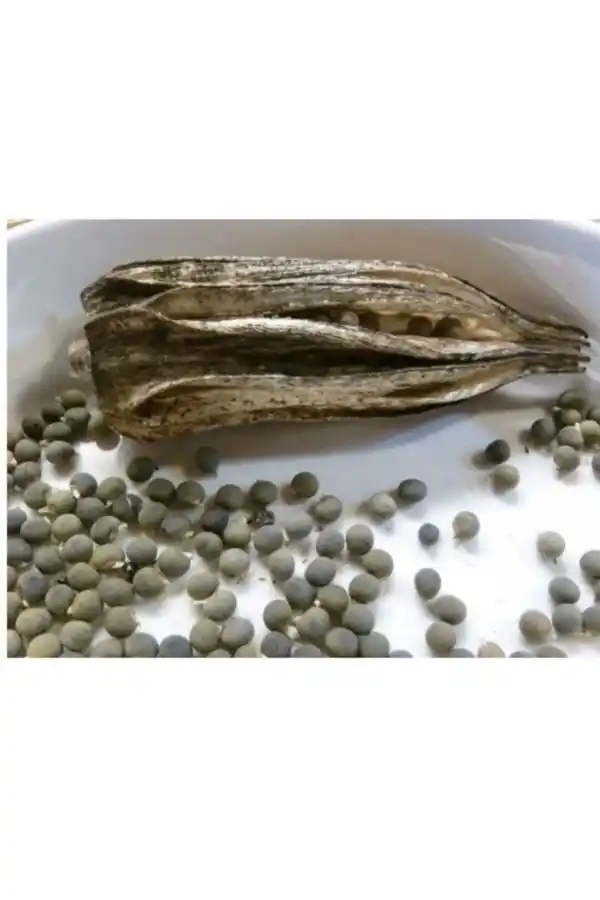 Bamya Tohumu 250 gr, Lokman Aktar