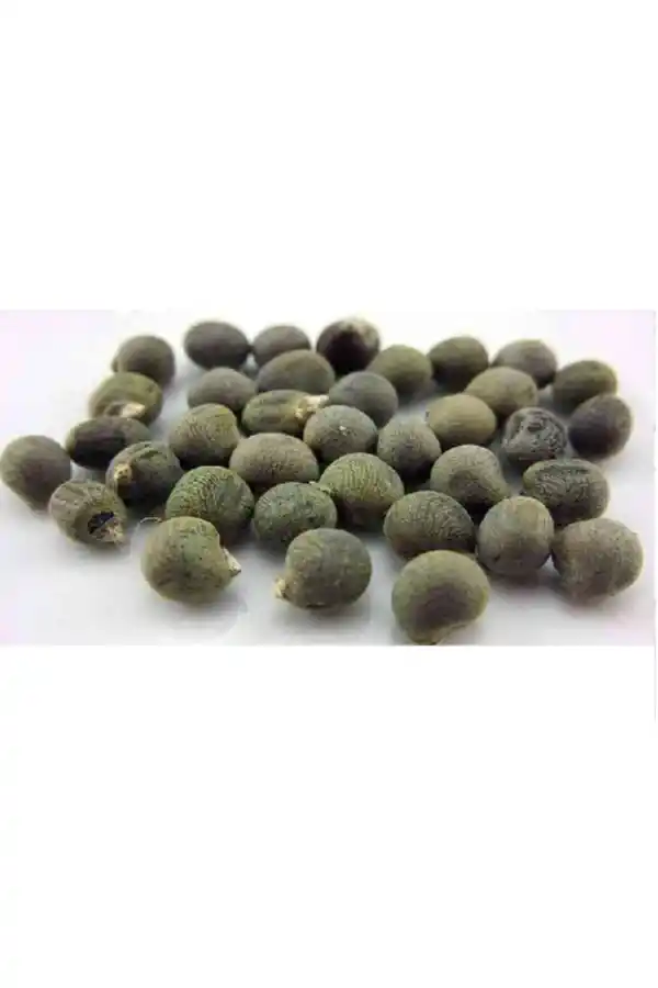 Bamya Tohumu 1 Kg, Lokman Aktar