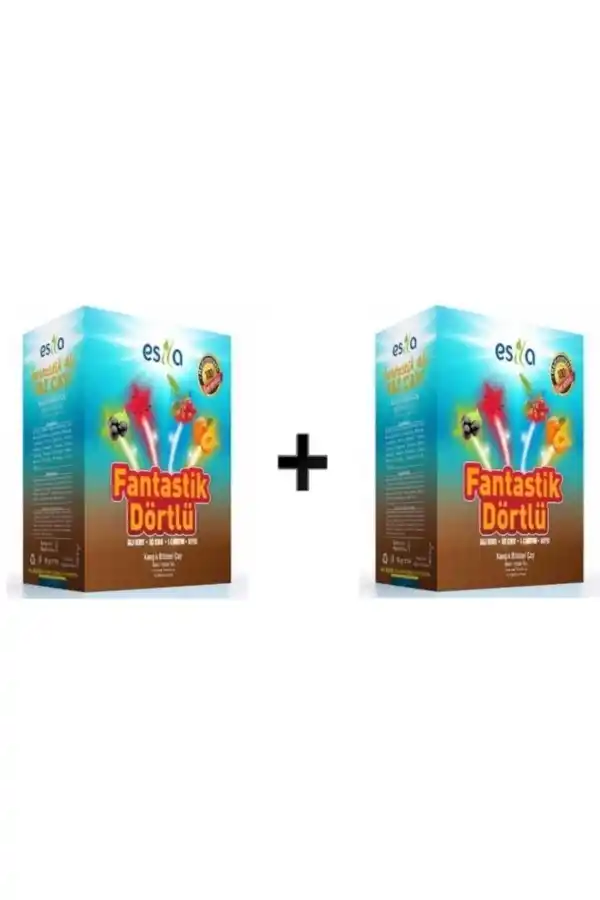 Esila Fantastik Dörtlü Yaz Karışık Süzen Poşet Çay 45li 2 kutu