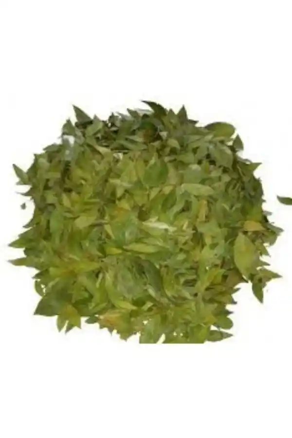 Mersin Yaprağı 500 Gr, Lokman Aktar