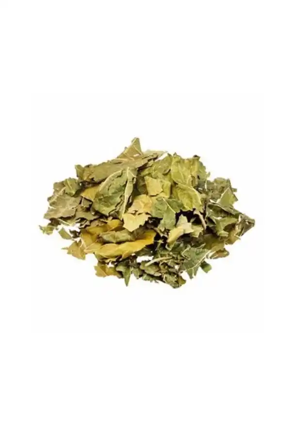 Beyaz Dut Yaprağı Kurusu 50 gr, Derya Eren