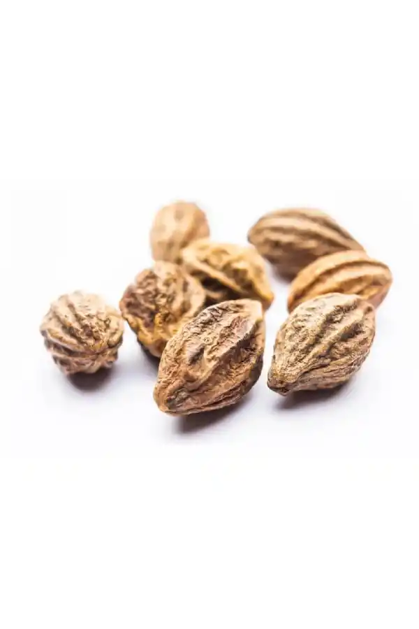 Sarı Halile Sarıhalile (Terminalia Chebula) 100gr, Derya Eren