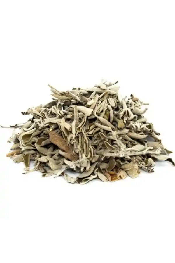 Adaçayı Gri 30 Gr(Paket-Bitki) 1Adet, Lokman Aktar