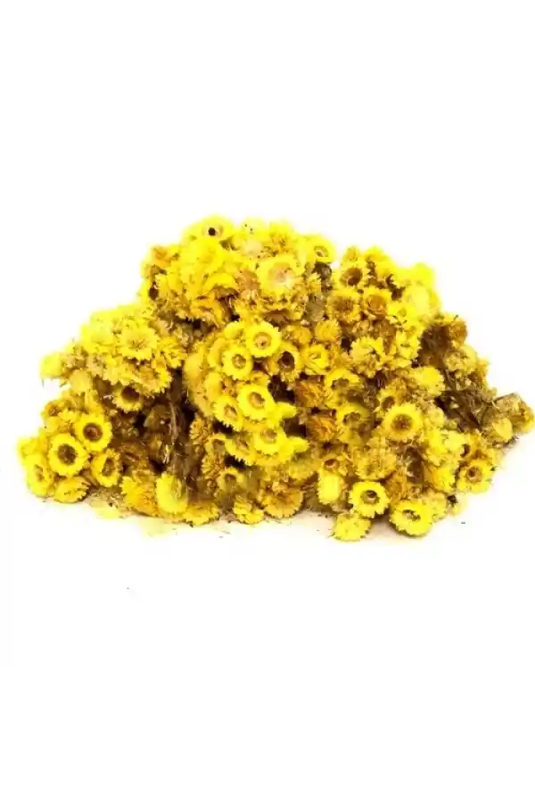 Altın Otu (Altınotu) Solidago virgaurea 500 gr, Derya Eren