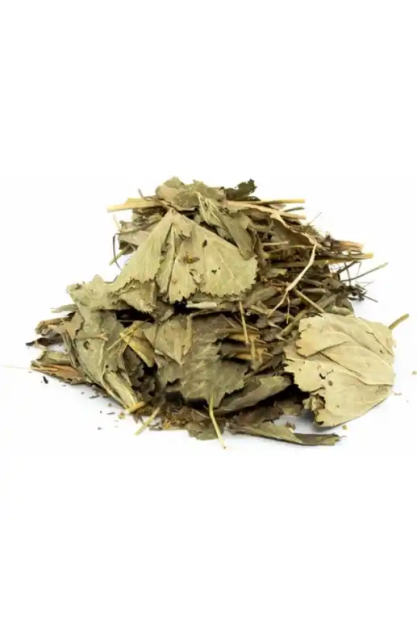 Aslan Pençesi Testere Dişli 100 gr, Derya Eren