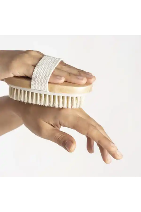 Doğal At Kılı Selülit Fırçası, 3 Adet, Derya Eren