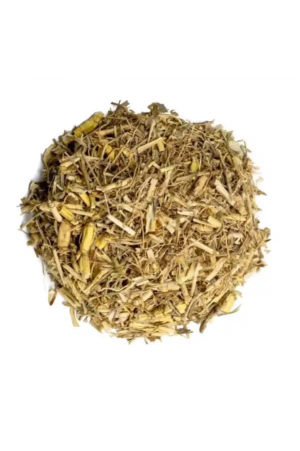 Ayrık Kökü Ayrık Otu (Agropyron Repens) 100 gr, Derya Eren