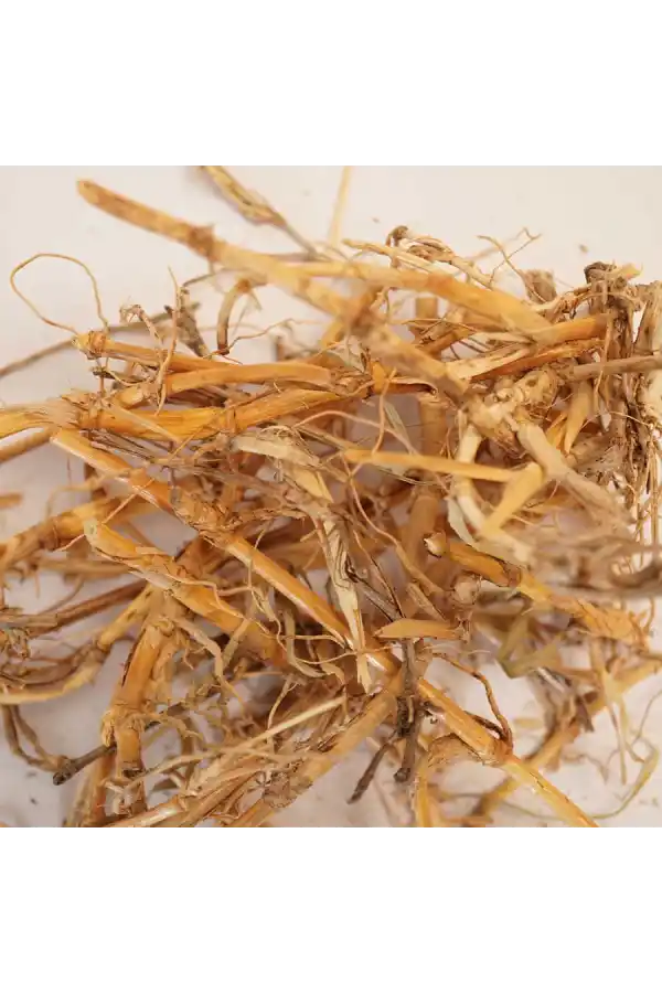 Ayrık Kökü Ayrık Otu (Agropyron Repens) 100 gr, Derya Eren