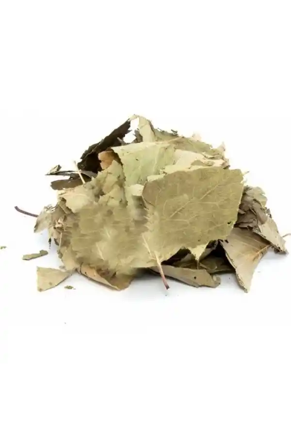 Ayva Yaprağı 20 Gr, Lokman Aktar