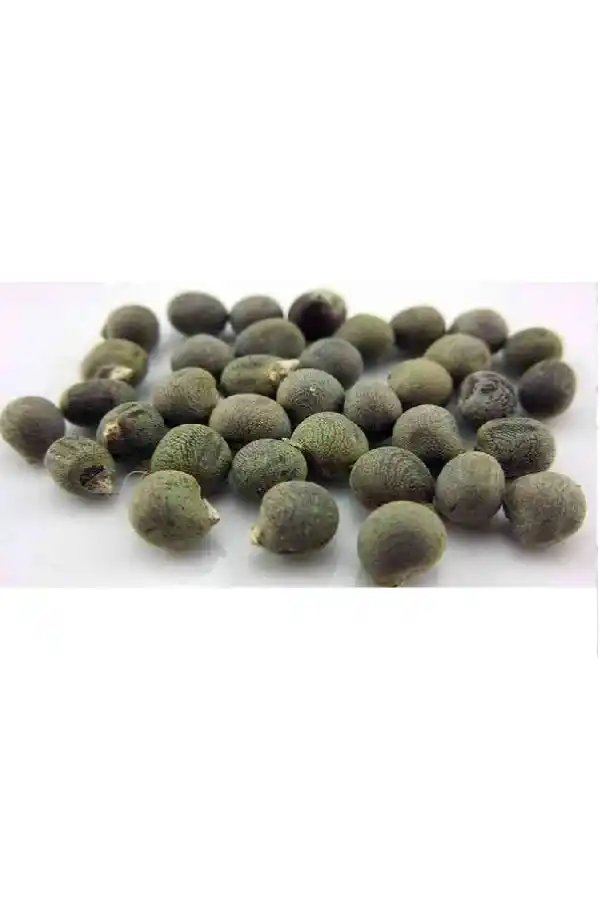 Bamya Tohumu Yenilebilir İlaçsız 100 gr, Derya Eren