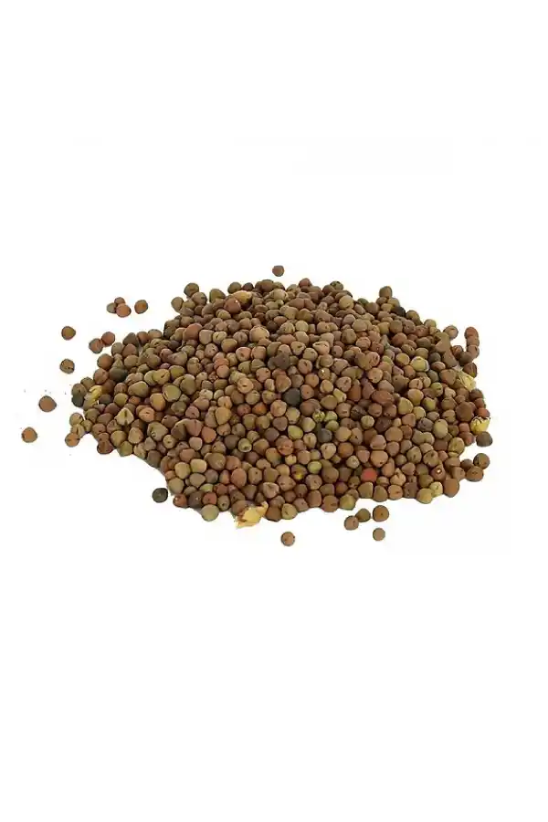 Burçak Tohumu Lathyrus 100 gr, Derya Eren