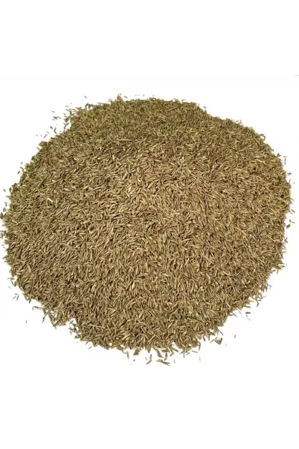 Çim Tohumu Yedili karışım 100 gr, Derya Eren