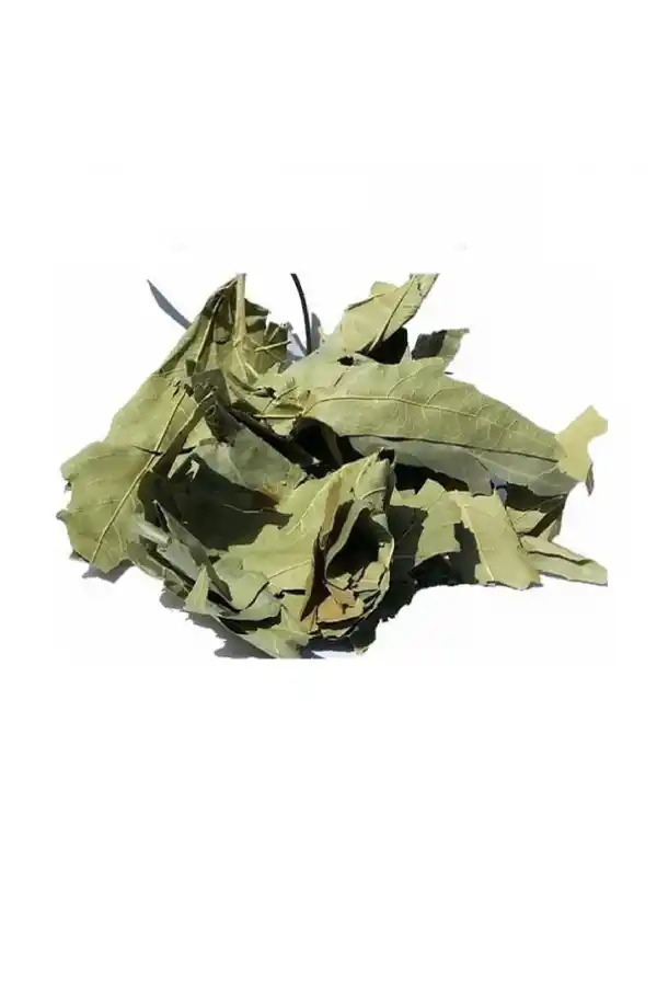 Çınar Yaprağı Derin Yırtıklı 100 gr, Derya Eren