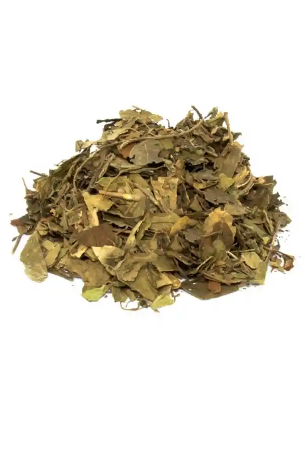 Cinnema Gimneya-Cimnema Otu 250 gr, Derya Eren