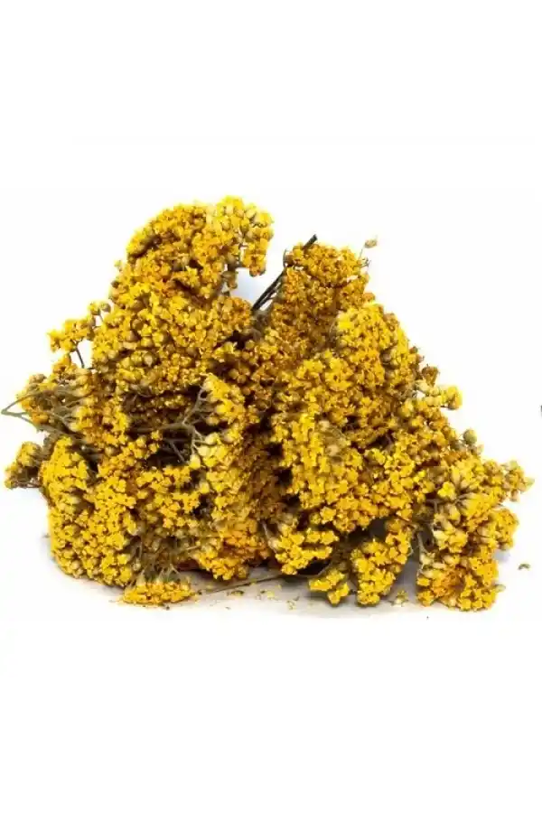 Civan Perçemi 30 Gr, Lokman Aktar