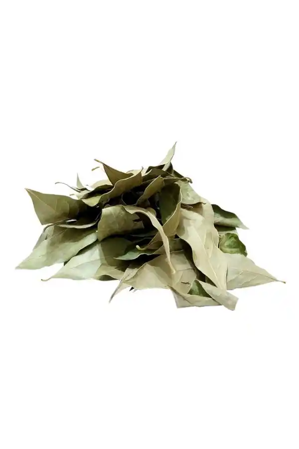 Defne Yaprağı 25 Gr, Lokman Aktar