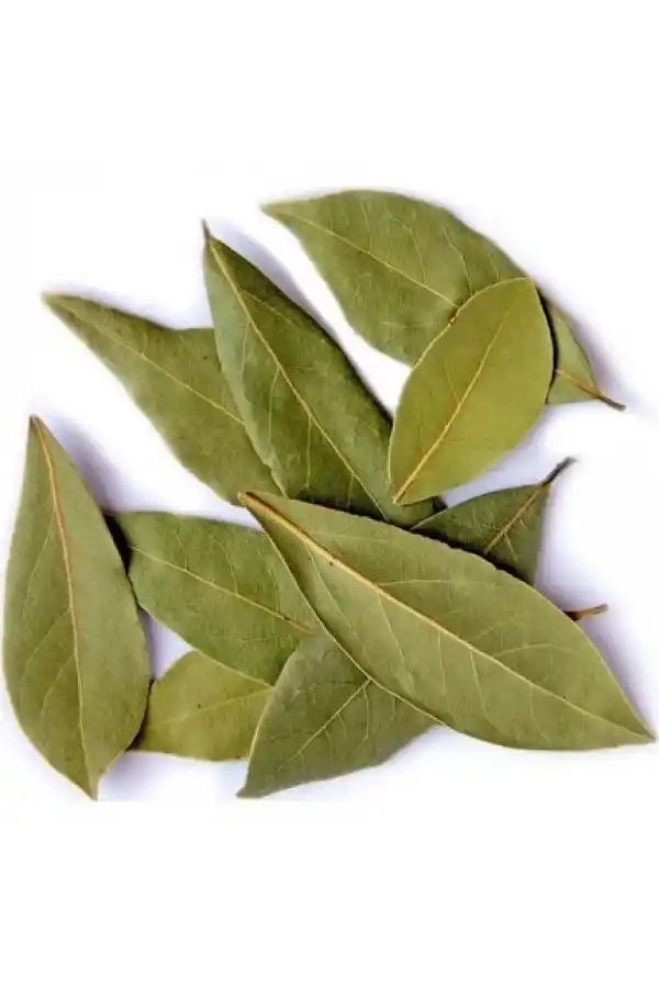 Defne Yaprağı 25 Gr, Lokman Aktar