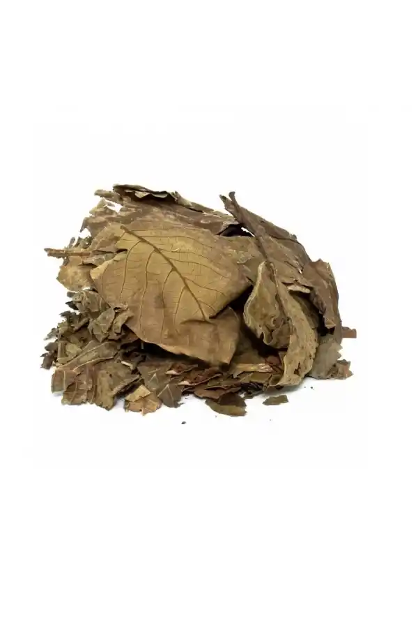 Ceviz Yaprağı 100 gr, Derya Eren