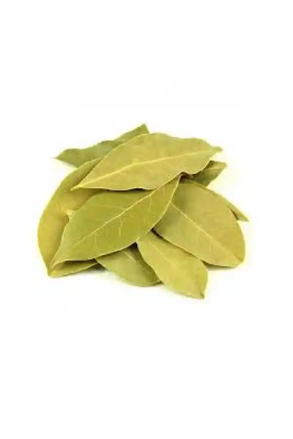 Defne Yaprağı (laurus nobilis) 100 gr, Derya Eren