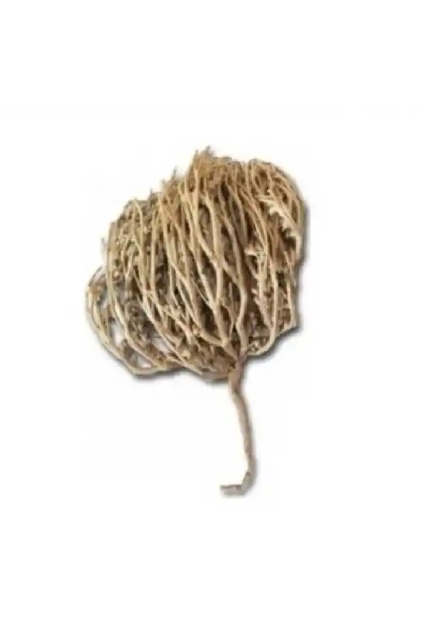 Meryem Ana Eli Otu (Fatma Ana Eli) Anastatika Hierochuntica 100 gr, Derya Eren