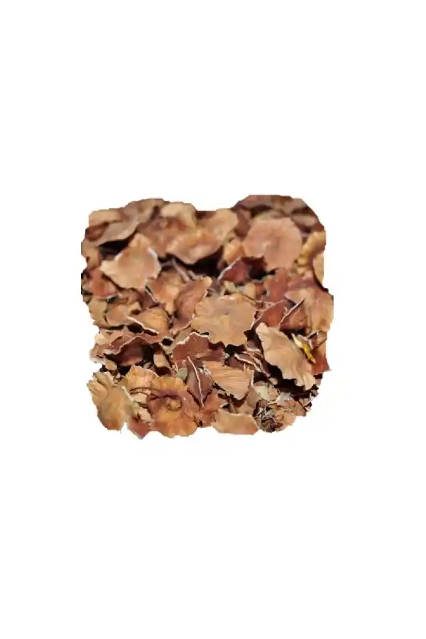 Deve Tabanı (Karaçalı) 50 Gr, Lokman Aktar