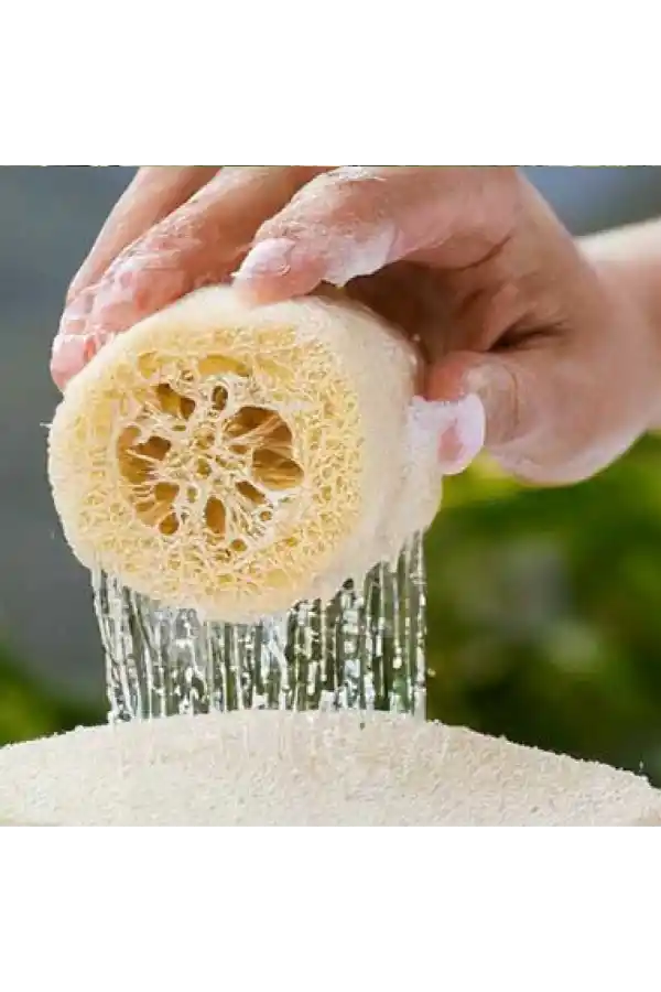 Kabak Lifi Ham Parça, 15-18 cm, 1 Adet Derya Eren