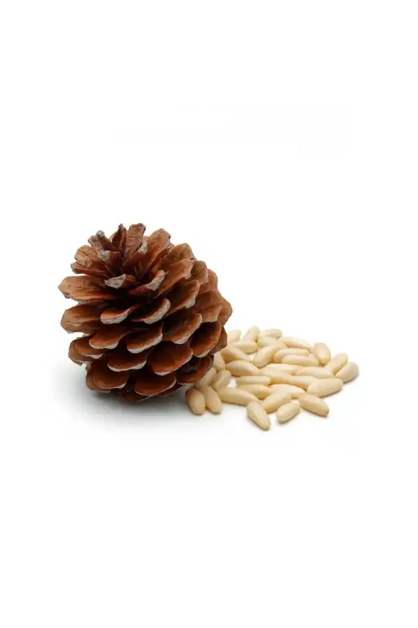 Yerli ve Doğal Çam Fıstığı (Künar) 100 gr, Derya Eren