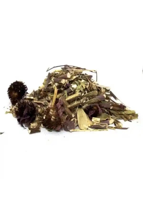 Ekinezya Çiçeği 40 Gr (Paket-Bitki) 1Adet, Lokman Aktar