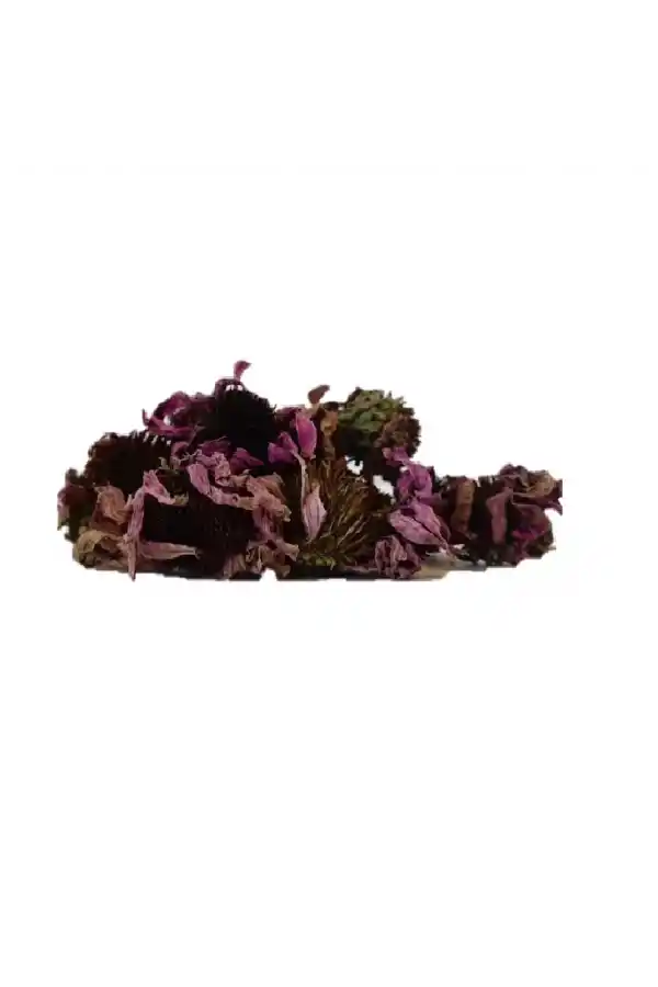 Ekinezya çiçeği, 100 gr (Echinacea Angustifolia),Derya Eren