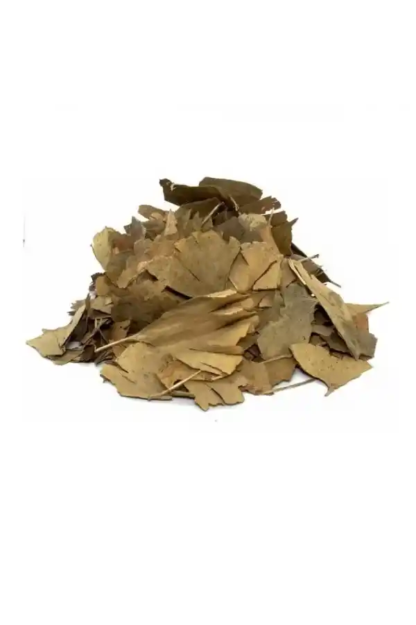 Ginko Biloba 30 Gr (Paket-Bitki) 1Adet, Lokman Aktar