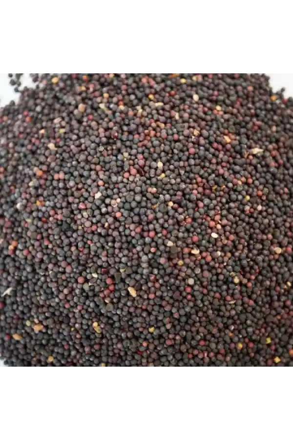 Siyah Hardal Tohumu 100 gr, Derya Eren