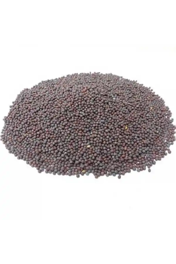 Siyah Hardal Tohumu 100 gr, Derya Eren