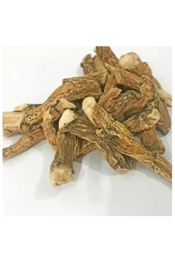 Hazanbel, Eğir kökü (Acorus calamus), Derya Eren 50 gr