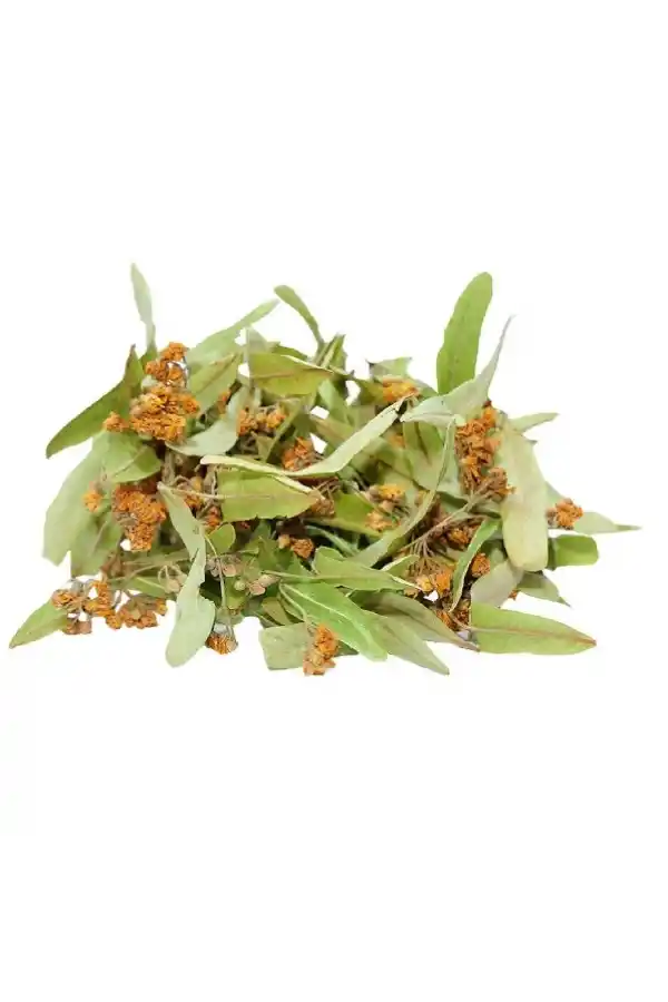 Ihlamur Yaprak Çiçek 50 gr ıhlamur, Derya Eren