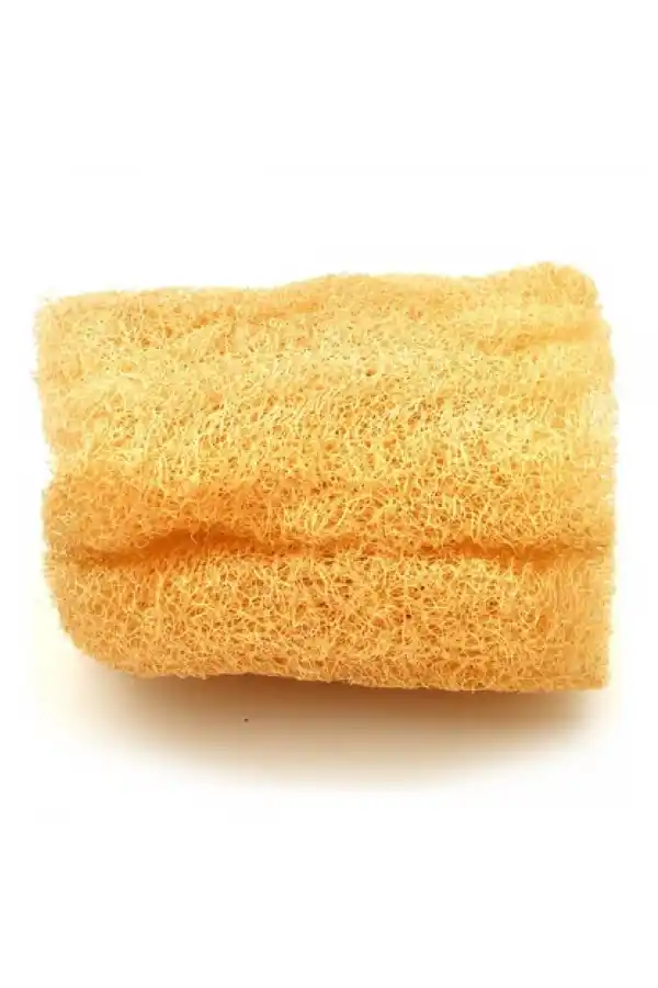 Kabak Lifi Ham Parça, 15-18 cm, 1 Adet Derya Eren