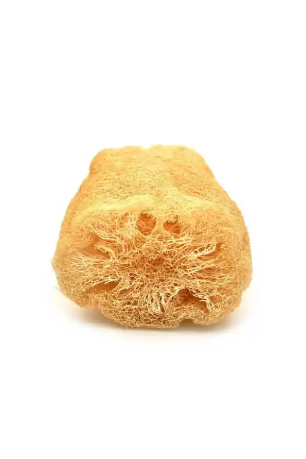 Kabak Lifi Ham Parça, 15-18 cm, 1 Adet Derya Eren