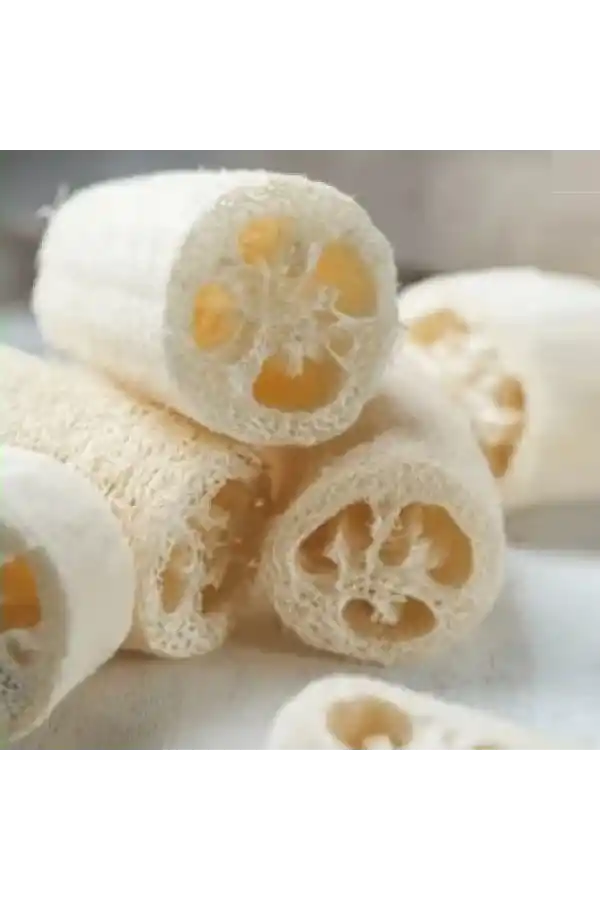 Kabak Lifi Ham Parça, 15-18 cm, 1 Adet Derya Eren