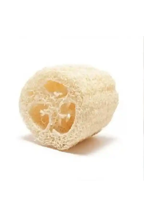 Kabak Lifi Ham Parça, 15-18 cm, 1 Adet Derya Eren