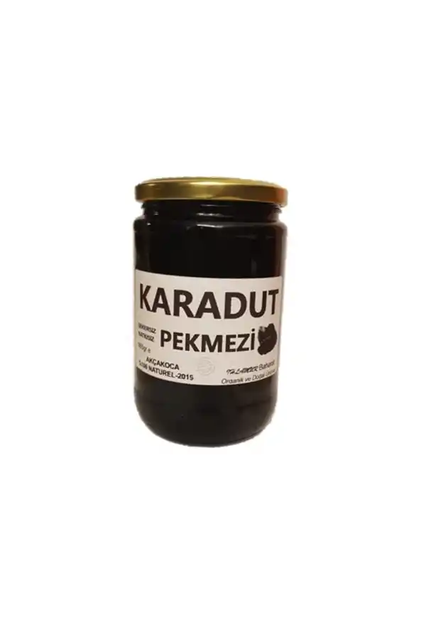 Karadut Pekmezi 865g Şekersiz Katkısız 1Adet, Derya Eren