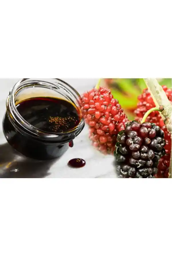 Karadut Pekmezi 865g Şekersiz Katkısız 1Adet, Derya Eren